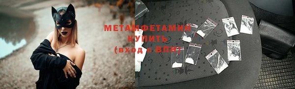 сатива Покачи