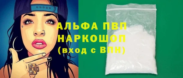 сатива Покачи