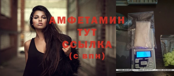 сатива Покачи