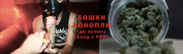 сатива Покачи