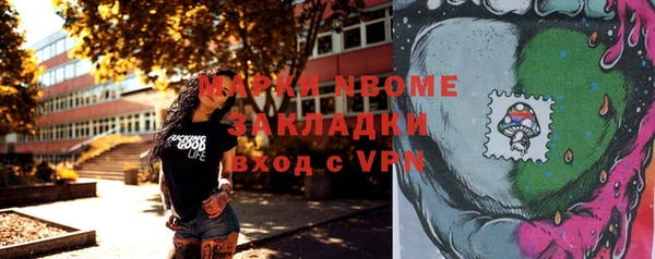 сатива Покачи