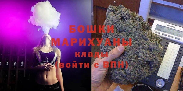 сатива Покачи
