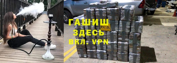 сатива Покачи