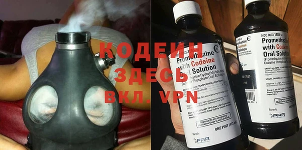 сатива Покачи