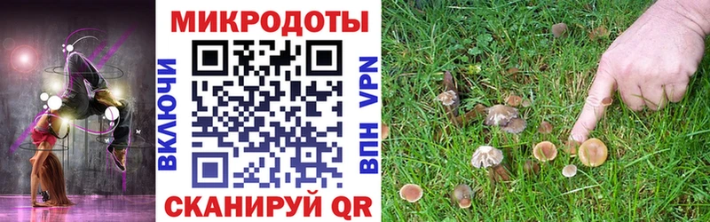хочу   Сосенский  Псилоцибиновые грибы прущие грибы 